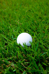 ラフ上のゴルフボール