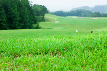 ゴルフ場の芝生