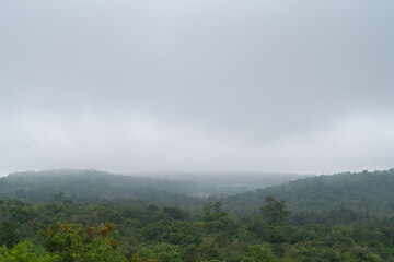 Fog covering a mountain covered in trees and plants,rainforest tropical background