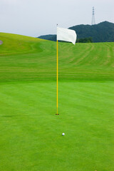 グリーン上のフラッグ