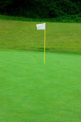 グリーン上のフラッグ