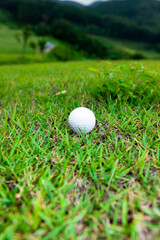 ラフ上のゴルフボール