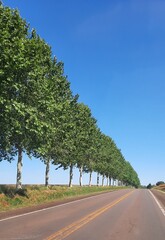 road in the countryside