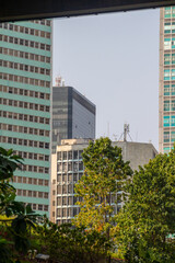 buildings in the city center of rio de janeiro.