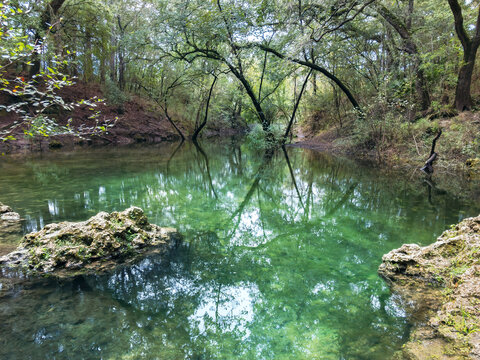 Charles Spring, Dowling Park, Suwannee County, Florida