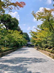 秋の訪れ
(The arrival of autumn)