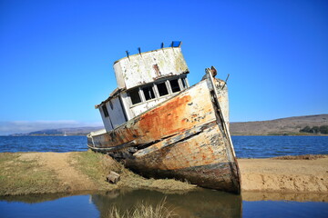 Fototapeta na wymiar Point Reyes Shipwreck 