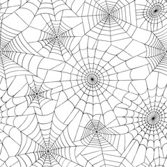 Spider web concept