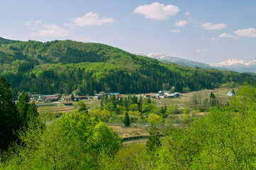 Naklejka premium 大井沢