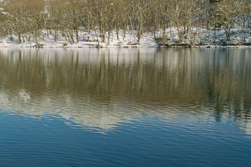 冬の鴫の谷地沼