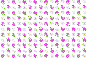 Seamless pattern hand drawn 0f flowers and leaves isolated on white background