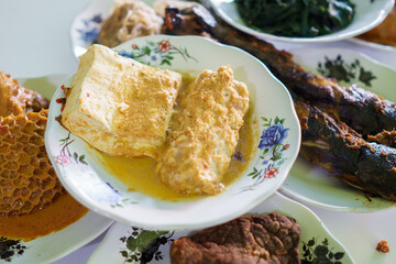 portrait food tofu tempeh yellow base on a plate on in a traditional food dish