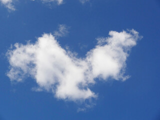 Obraz premium 白い雲と青空