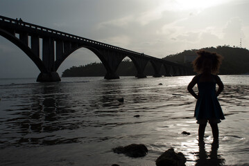 Fototapeta premium silueta y puente