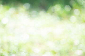 Fototapeta premium abstract bokeh background