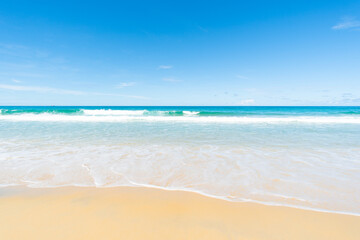 beach with trees