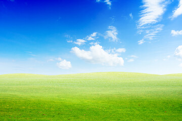 Fototapeta na wymiar Landscape view of green grass on slope with blue sky and clouds background.