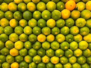 marketing and presentation techniques of tangerines