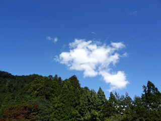 Obraz premium 白い雲と青空