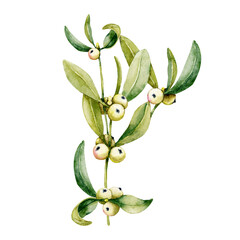 Branch and berries of white mistletoe. Watercolor hand drawn illustration isolated on white background. Design of New Year and Christmas printed products, holiday cards.