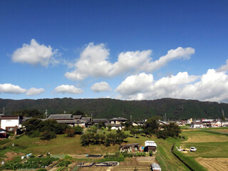 Fototapeta na wymiar 里山の風景