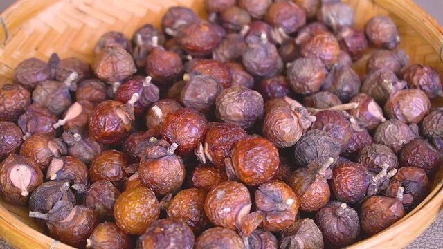 Dry soapberry seed.