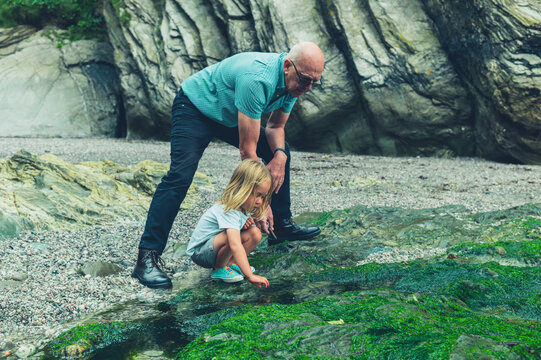 Preschooler and his grandfather looking at seaweed on the beach