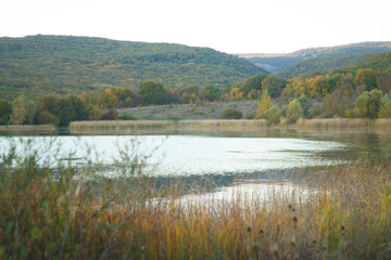 small lake surrounded by colorful autumn foliage