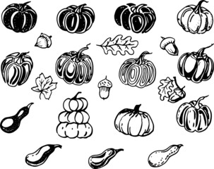 
Pumpkin vegetables stylization. Abstract hand-drawn illustration. Gafica, ink. Print, textiles. Thanksgiving, harvest festival. Autumn, autumn mood. Agriculture, farm. Seamless pattern.