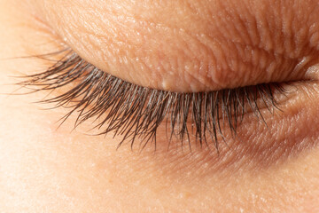 
closed eye of a girl with eyelashes close up