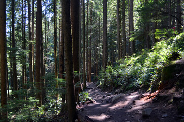 Vancouver, Canada - Baden-Powell Trail to Quarry Rock