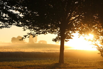 Schwabenland, Landschaften und Natur auf der schwäbischen Alb im Sonnenuntergang