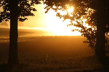 Schwabenland, Landschaften und Natur auf der schwäbischen Alb im Sonnenuntergang