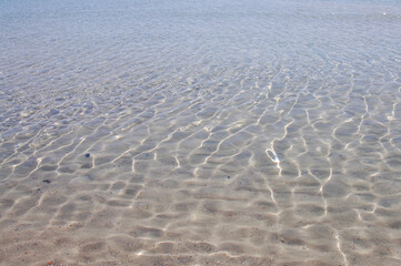 transparent sea water on the beach in summer