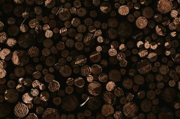 stack of firewood - obrazy, fototapety, plakaty