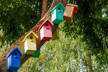  Colorful Bird Houses. Houses for birds. Lodges for a wintering of birds