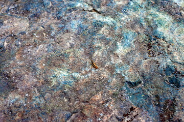 Stone close-up in summer. Background, screen saver, Wallpaper