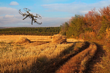 Drone over the autumn field