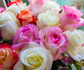 Bouquet of red, white and pink Roses close up