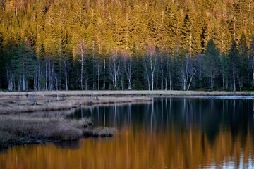 Triungsvanna, Oslomarka, Norway. Nature reserve. Shot in golden/blue hour in october.  A crisp and cold evening in Nordmarka. This lake and forest is only a few kilometers from down town city of oslo.