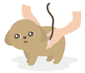 動物病院　診察を受ける犬