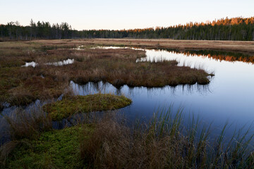 Triungsvanna, Oslomarka, Norway. Nature reserve. Shot in golden/blue hour in october.  A crisp and cold evening in Nordmarka. This lake and forest is only a few kilometers from down town city of oslo.