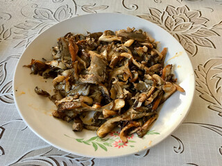 Homemade Cooked Oyster Mushrooms served with Plate.