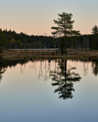 Triungsvanna, Oslomarka, Norway. Nature reserve. Shot in golden/blue hour in october.  A crisp and cold evening in Nordmarka.