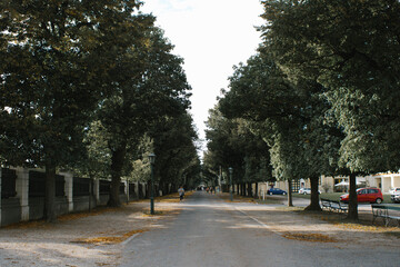 Street in the city