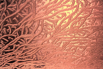 the frosty patterns on the window