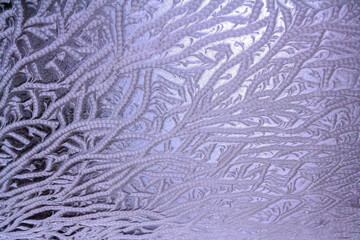 the frosty patterns on the window