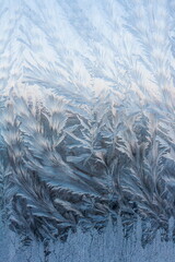 ..the frosty patterns on the windo