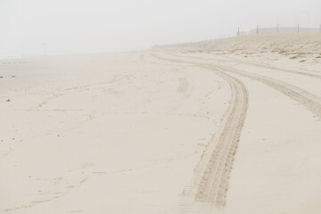 Foggy beach in the early morning