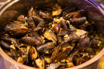 Miesmuscheln in Weißwein-Sahne-Sud in einem Topf